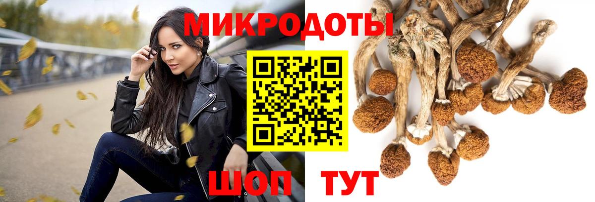 Галлюциногенные грибы MAGIC MUSHROOMS  Вход с VPN  Ижевск 