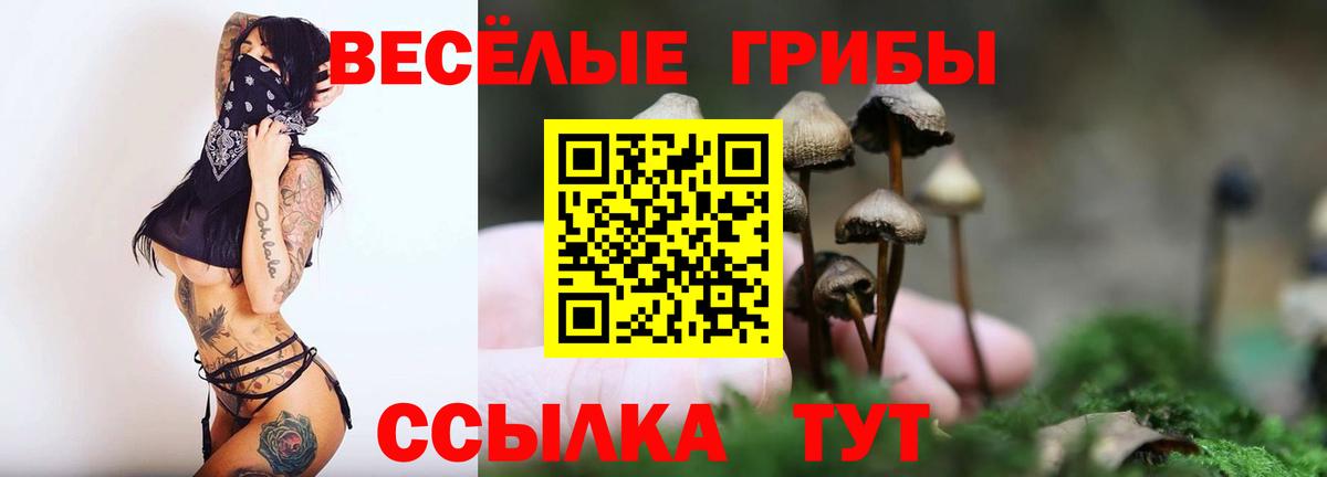 Галлюциногенные грибы MAGIC MUSHROOMS Ижевск